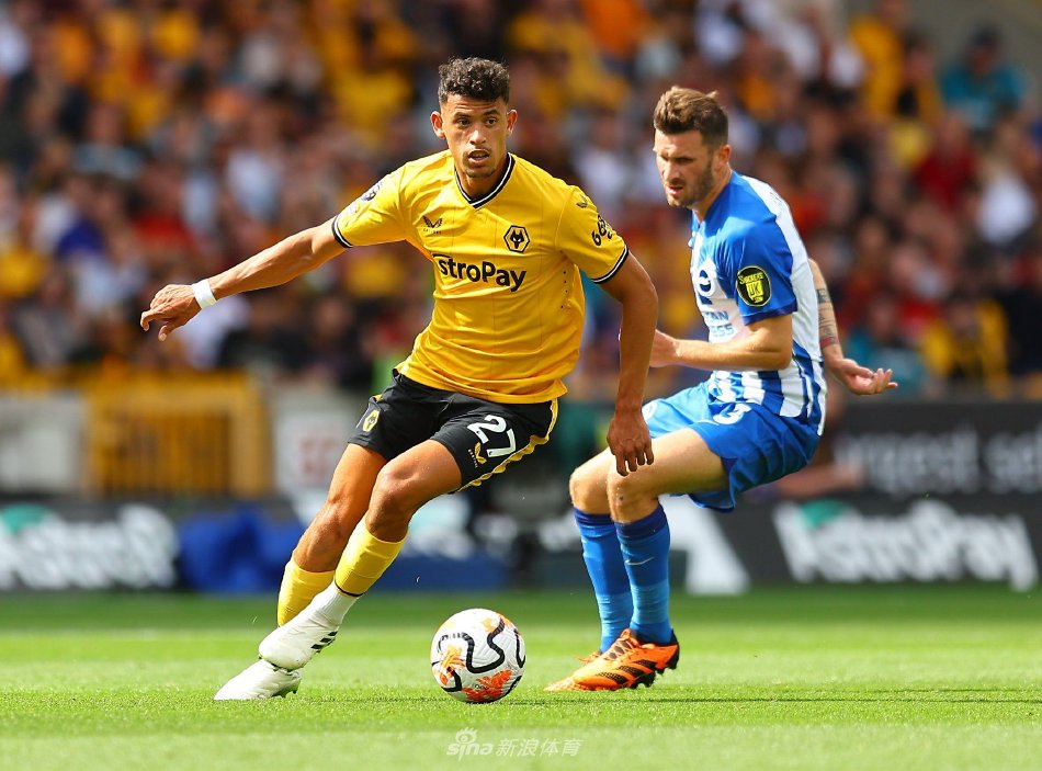 动着球迷的 动着球迷的